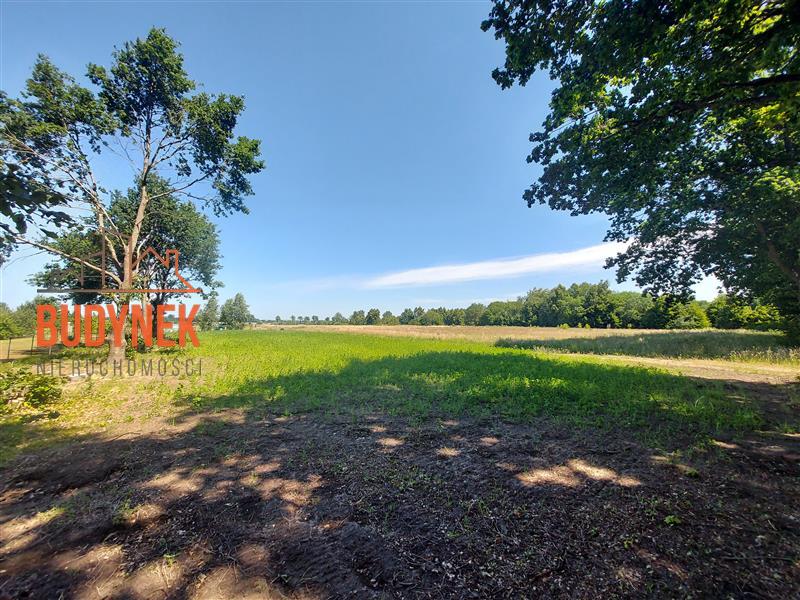 Działka budowlana - Rusko  (6)