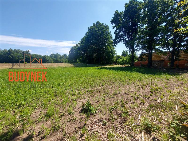 Działka budowlana - Rusko  (7)