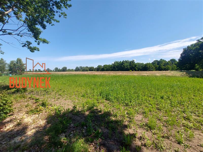 Działka budowlana - Rusko  (8)