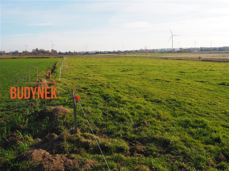 Działka rolna - Krupy  (10)