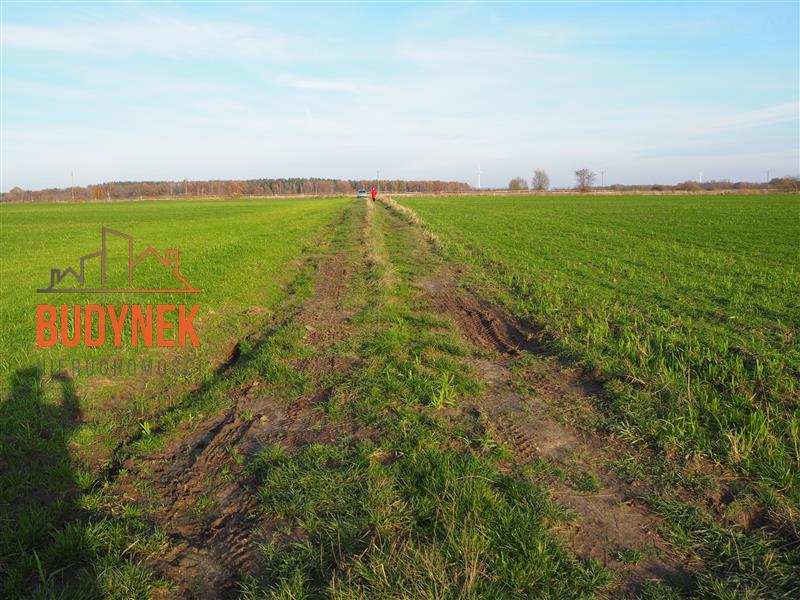 Działka rolna - Krupy  (11)