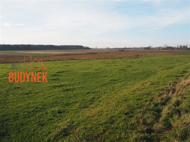 Działka rolna - Krupy  (12)