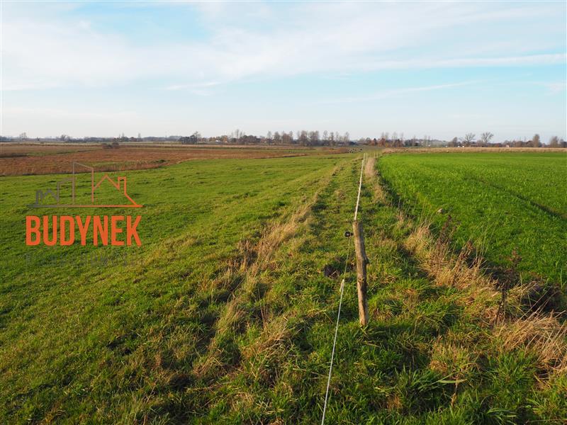 Działka rolna - Krupy  (13)