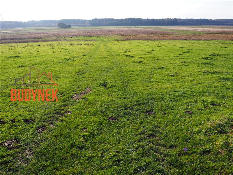 Działka rolna - Krupy  (14)