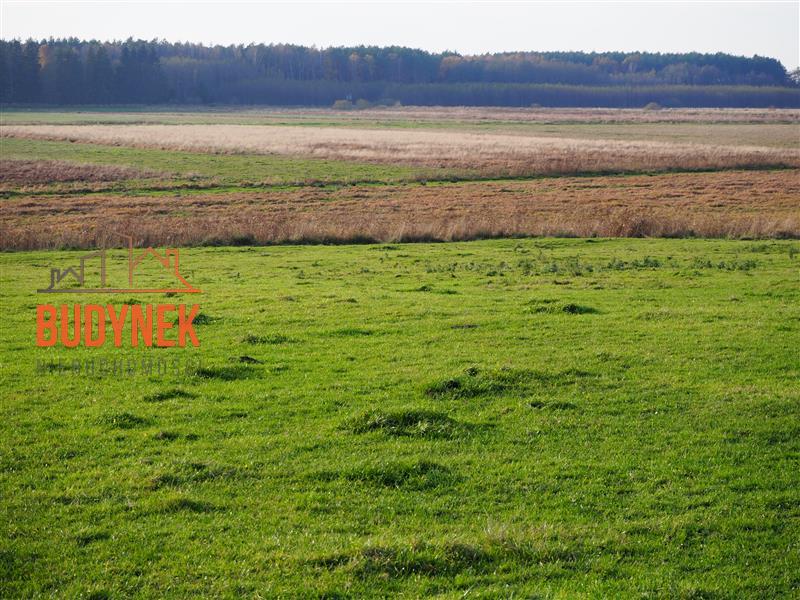 Działka rolna - Krupy  (15)