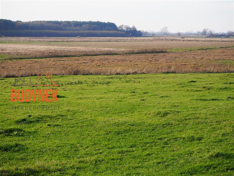 Działka rolna - Krupy  (2)