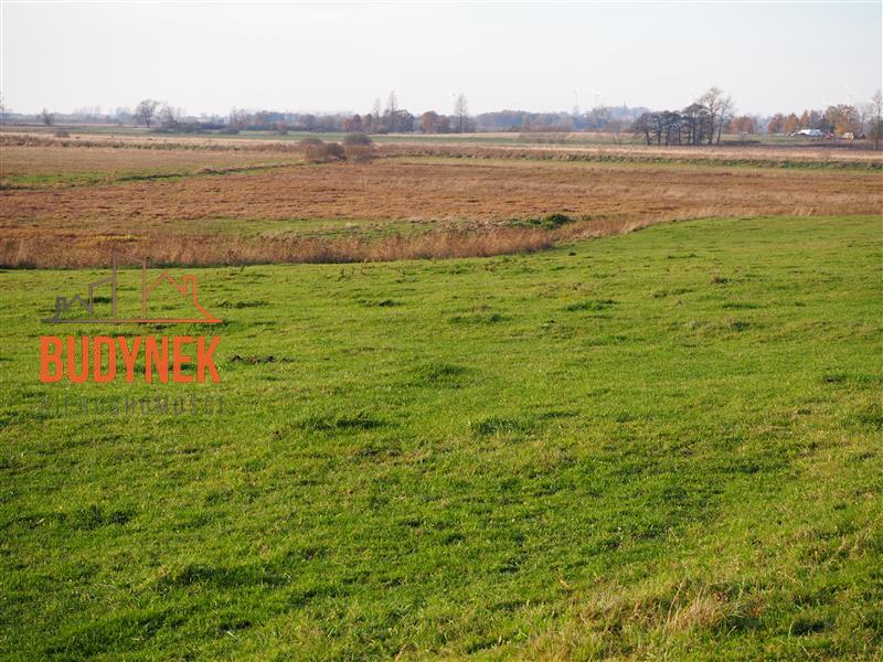 Działka rolna - Krupy  (3)