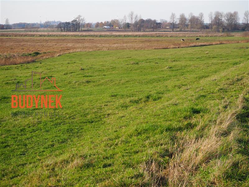 Działka rolna - Krupy  (4)