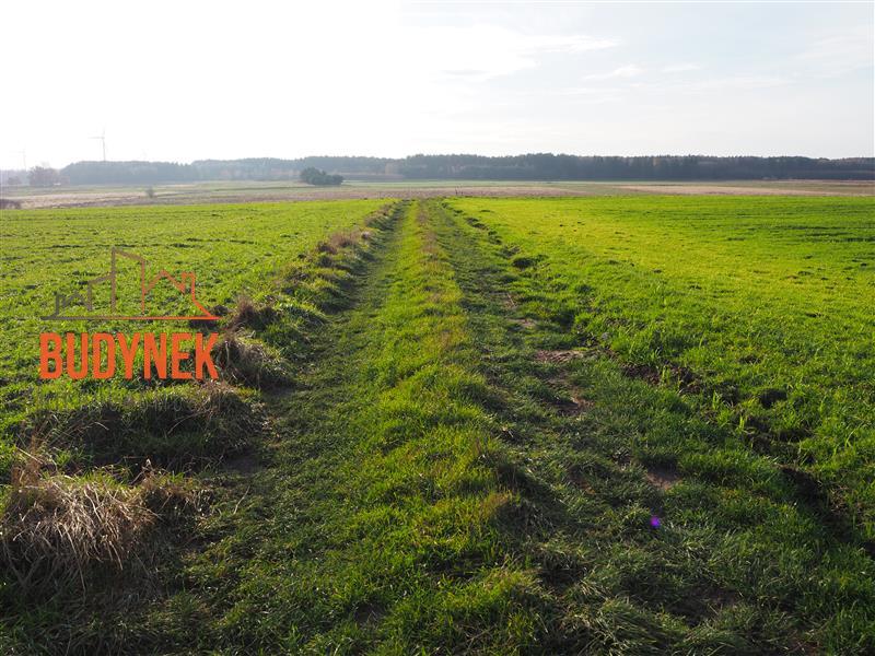 Działka rolna - Krupy  (5)