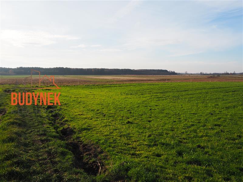 Działka rolna - Krupy  (6)