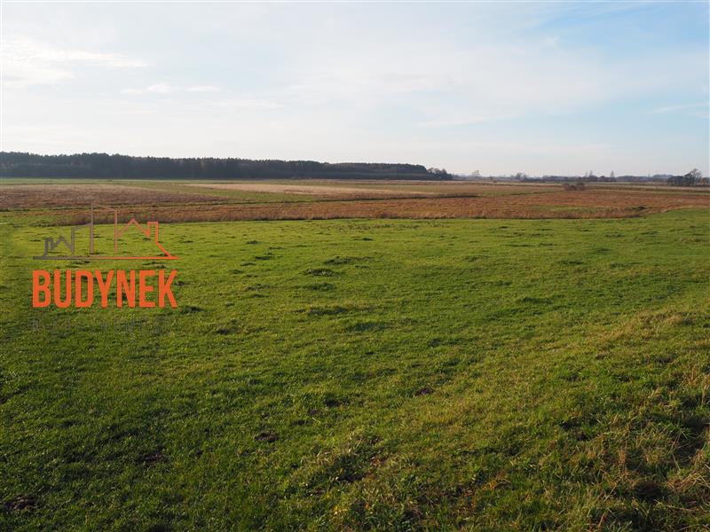 Działka rolna - Krupy  (7)