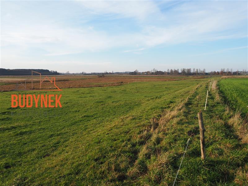 Działka rolna - Krupy  (8)