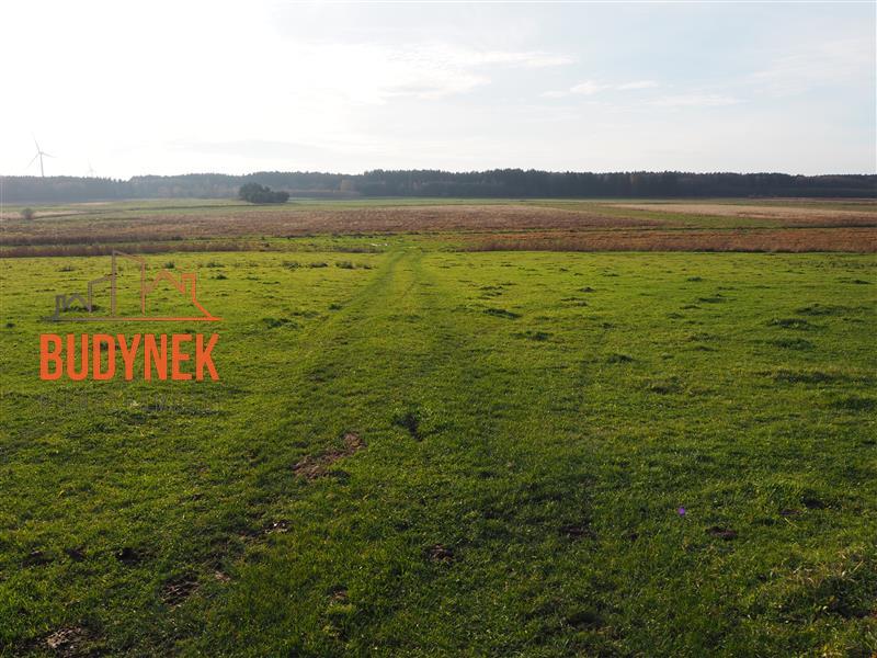 Działka rolna - Krupy  (9)