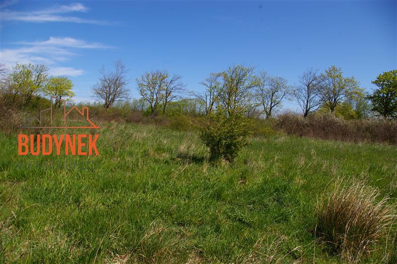 Działka budowlana - Dobiesławiec  (10)