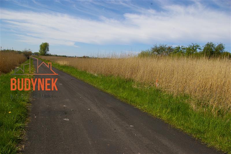 Działka budowlana - Dobiesławiec  (12)