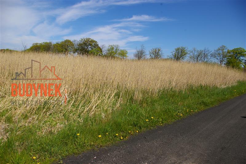 Działka budowlana - Dobiesławiec  (13)