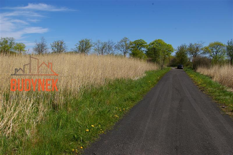 Działka budowlana - Dobiesławiec  (14)
