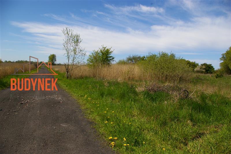 Działka budowlana - Dobiesławiec  (4)