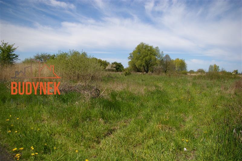 Działka budowlana - Dobiesławiec  (5)