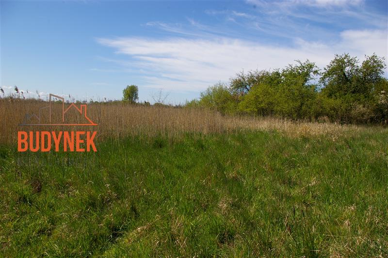 Działka budowlana - Dobiesławiec  (8)