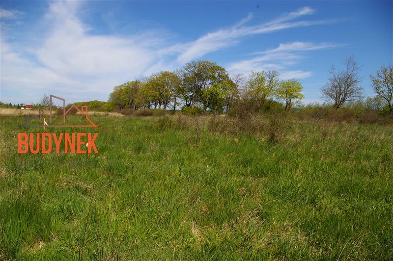Działka budowlana - Dobiesławiec  (9)