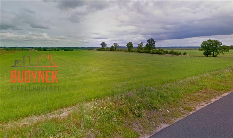 Działka rolna - Niemica  (4)