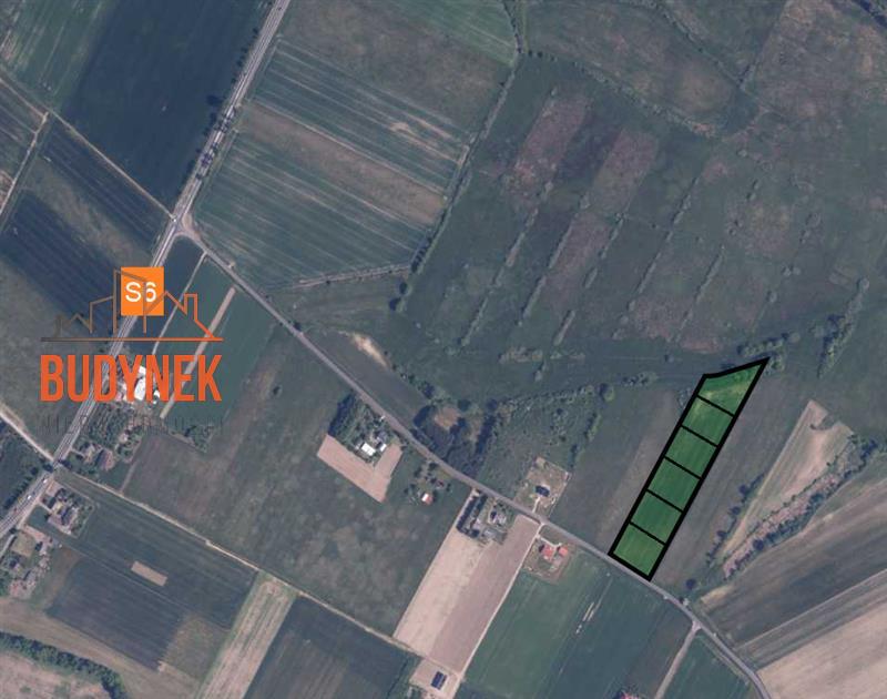 Działka rolna - Niemica  (5)