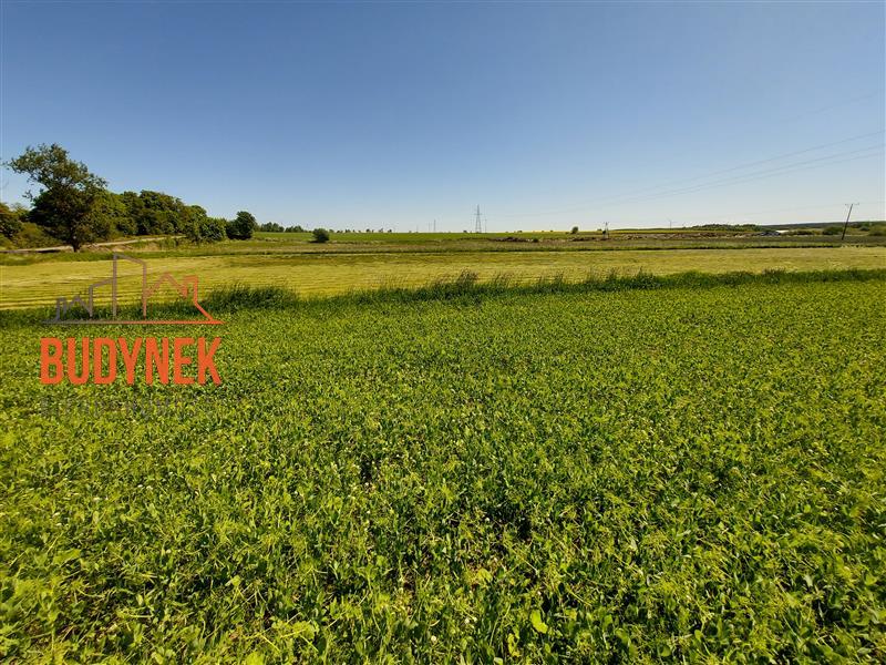 Działka budowlana - Zakrzewo  (3)