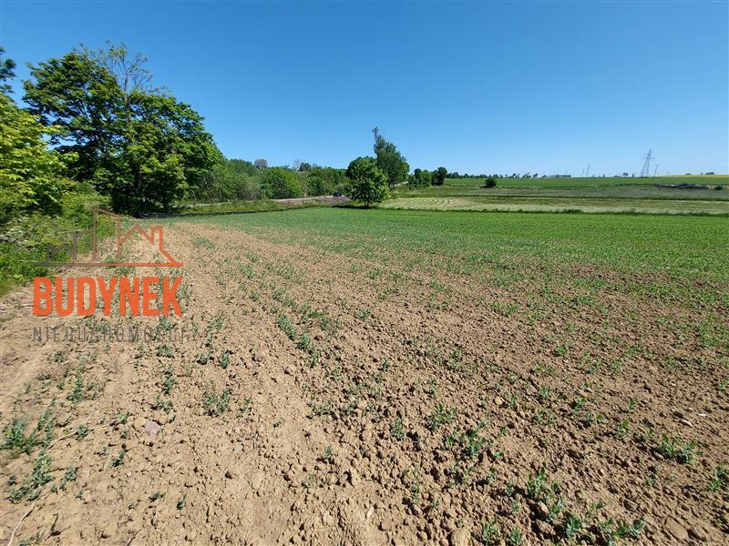 Działka budowlana - Zakrzewo  (7)