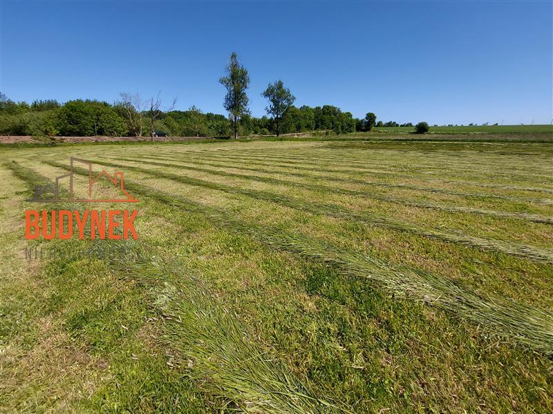 Działka budowlana - Zakrzewo  (8)