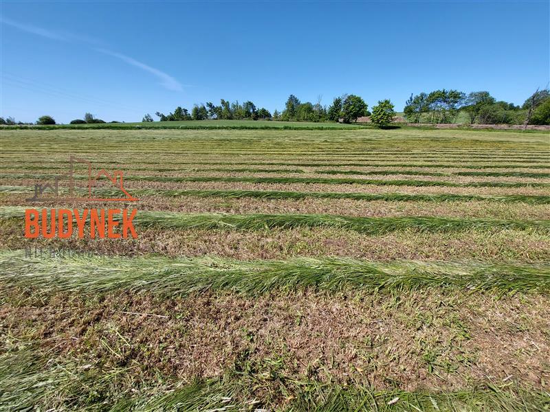 Działka budowlana - Zakrzewo  (9)