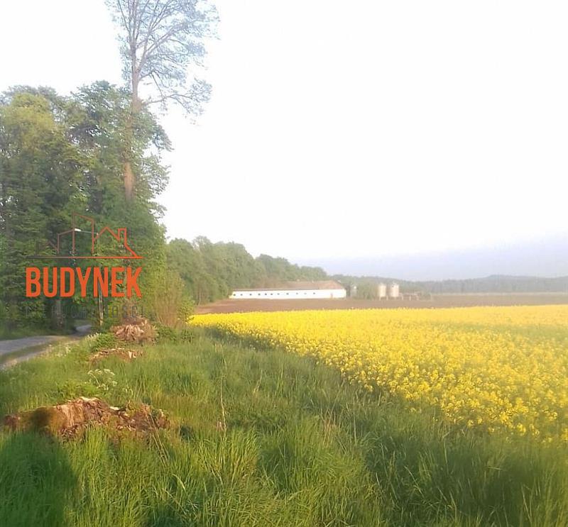 Gospodarstwo rolne - Sławno  (10)