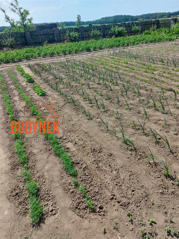 Gospodarstwo rolne - Sławno  (13)