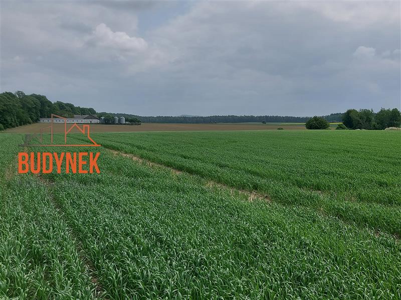 Gospodarstwo rolne - Sławno  (2)