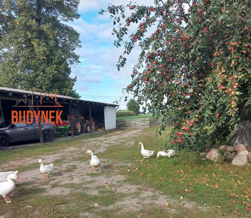 Gospodarstwo rolne - Sławno  (3)