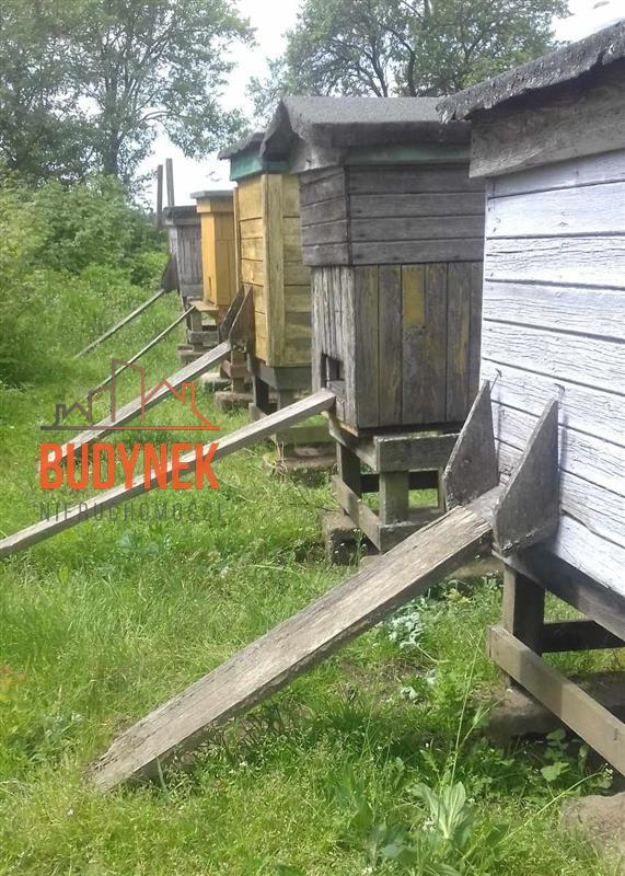 Gospodarstwo rolne - Sławno  (5)