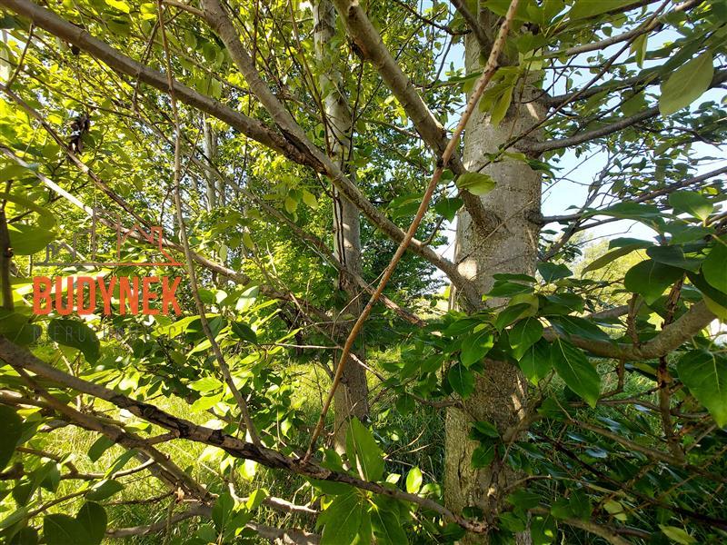 Działka budowlana - Żukowo Morskie  (11)