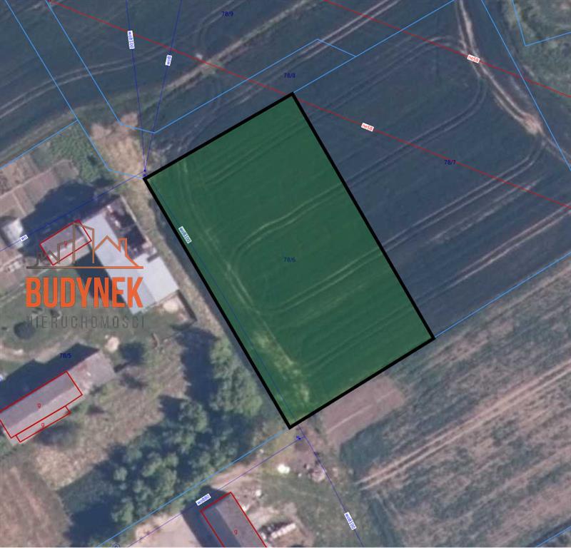 Działka budowlana - Sińczyca  (12)