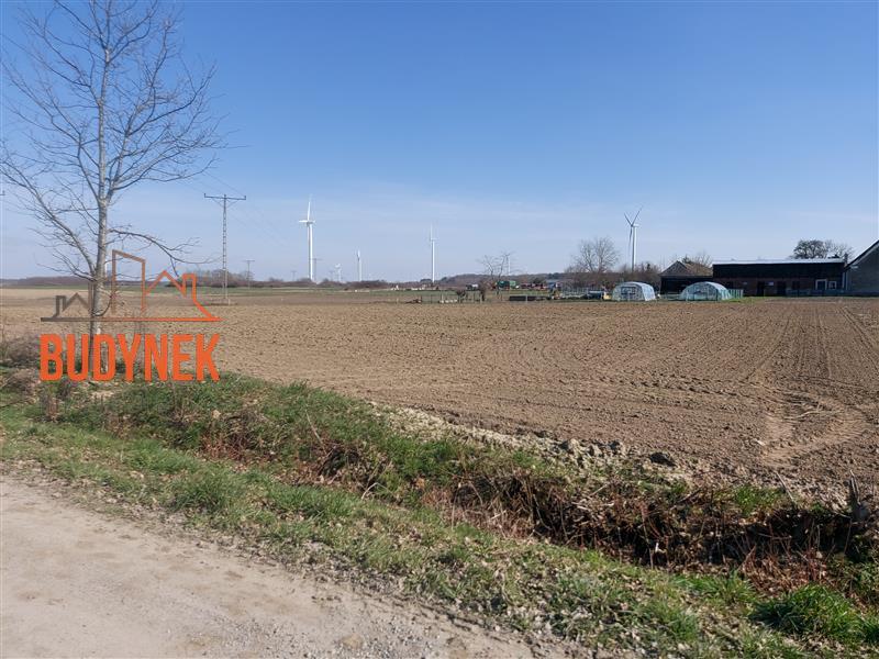 Działka budowlana - Sińczyca  (3)