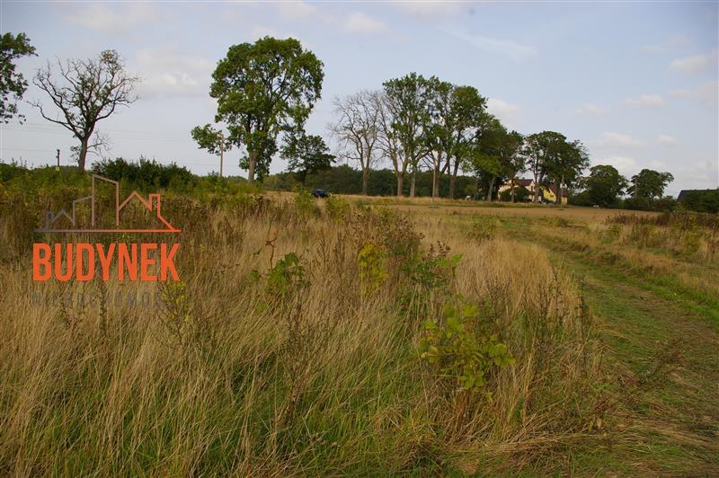 Działka budowlana - Karsino  (5)