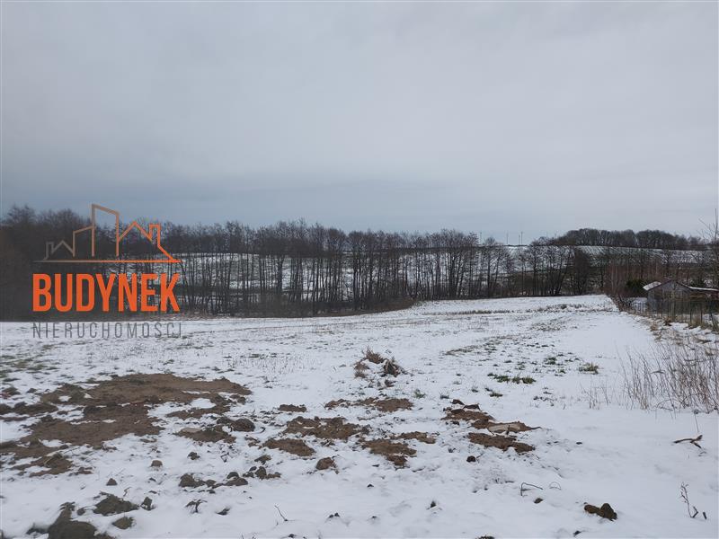 Działka - Zakrzewo  (8)