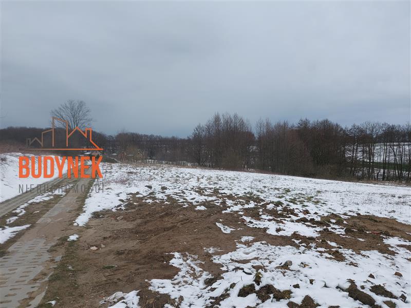 Działka - Zakrzewo  (9)