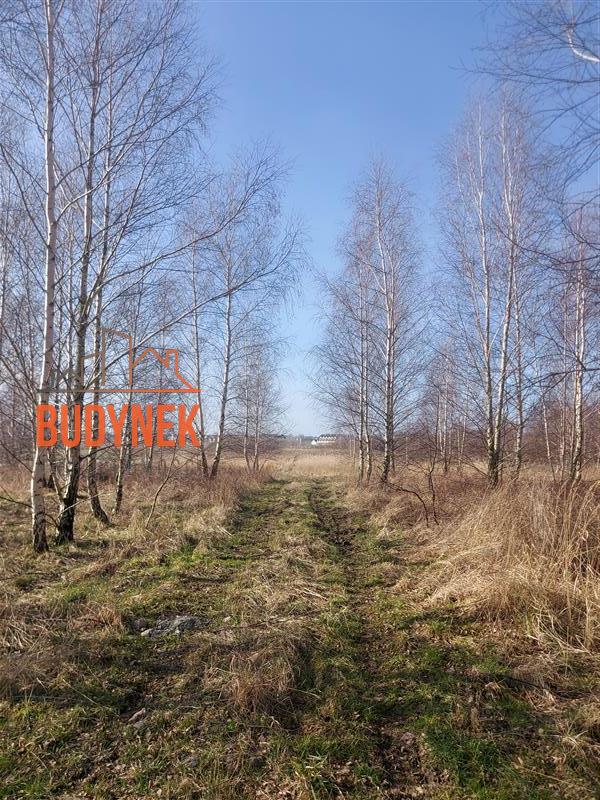 Działka - Darłowo  (12)