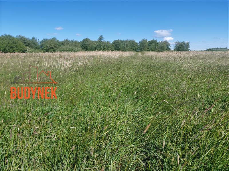 Działka - Darłowo  (8)
