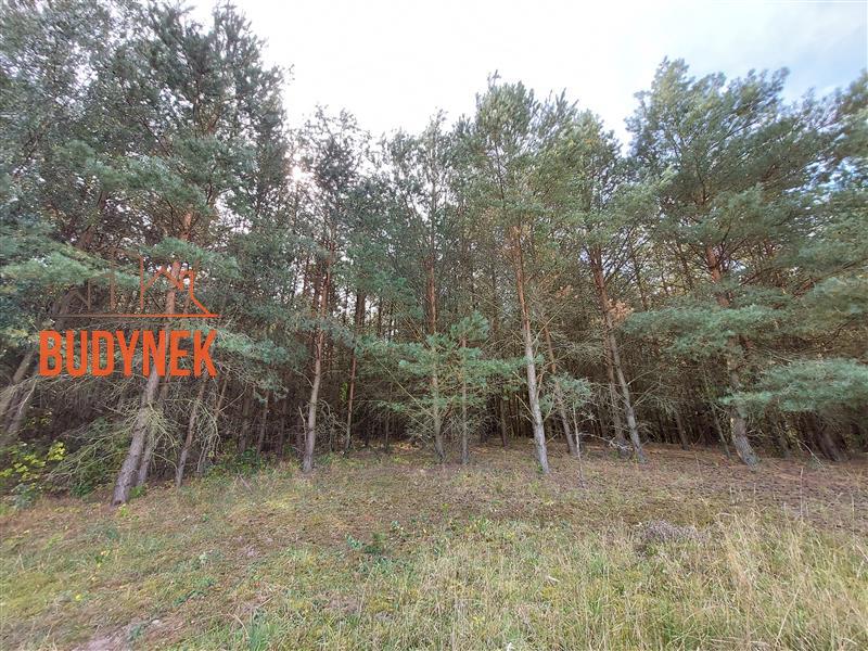 Działka budowlana - Niemica  (10)
