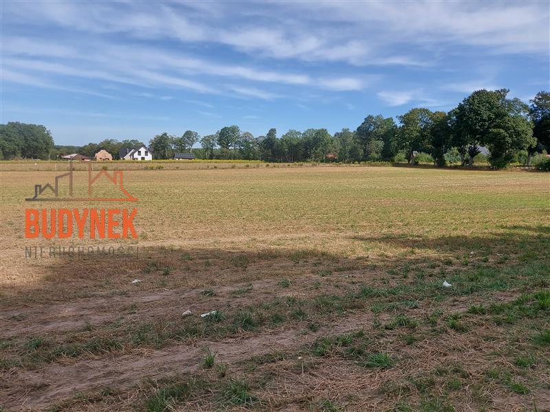 Działka budowlana - Niemica  (11)