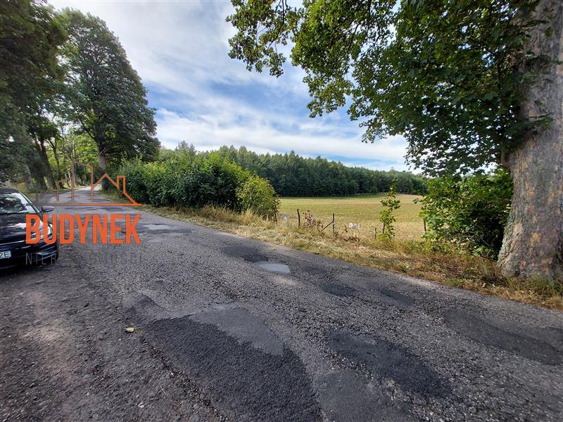 Działka budowlana - Niemica  (13)