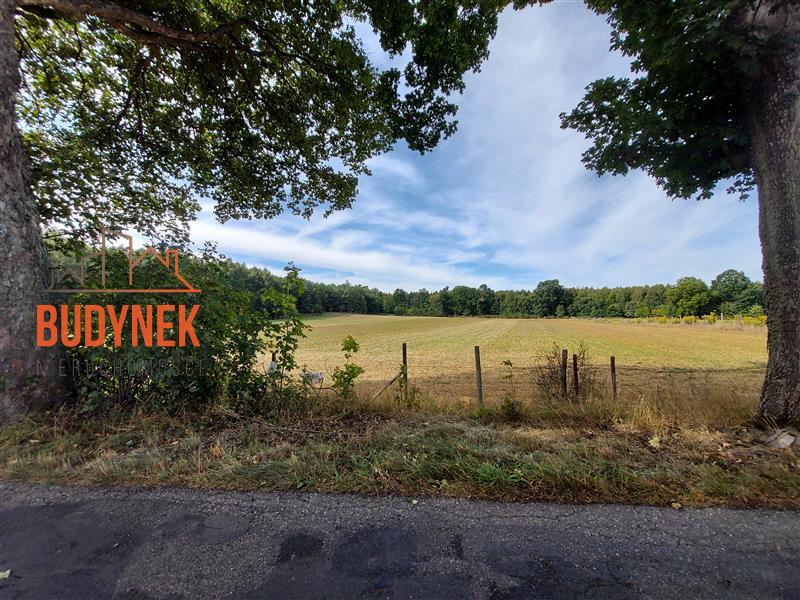 Działka budowlana - Niemica  (3)