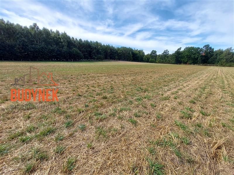 Działka budowlana - Niemica  (5)