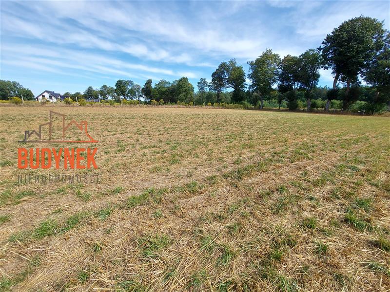 Działka budowlana - Niemica  (6)